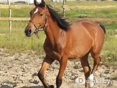 Фото компании