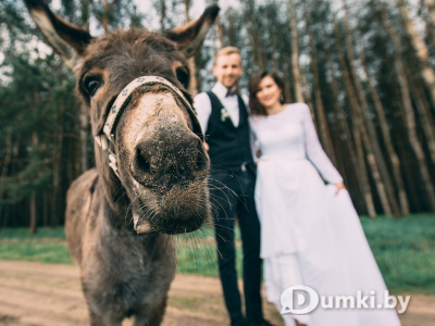 Фото компании