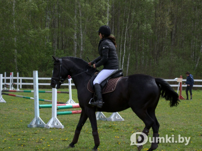 Фото компании