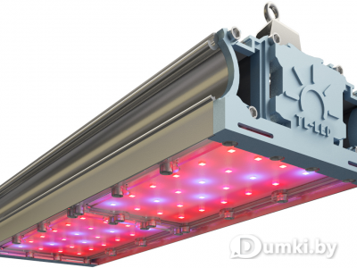Фото компании