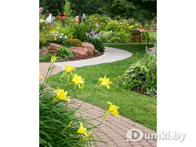 Фото компании