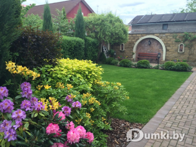 Фото компании