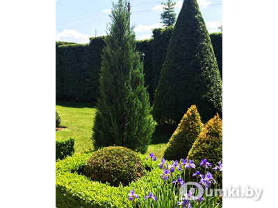 Фото компании