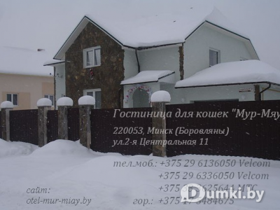 Фото компании