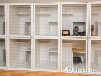 Фото компании