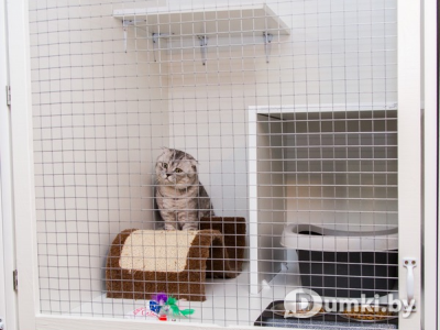 Фото компании