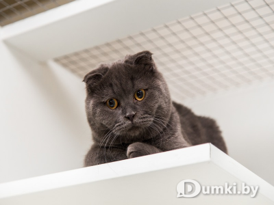 Фото компании