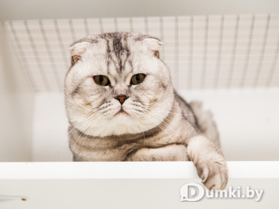 Фото компании