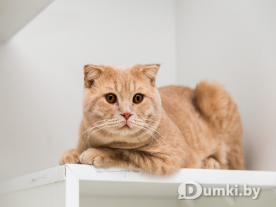 Фото компании