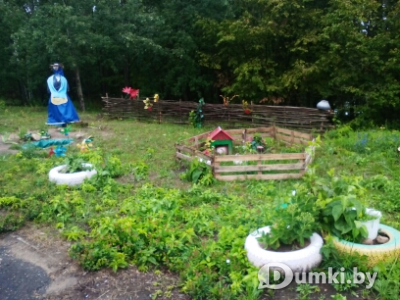 Фото компании