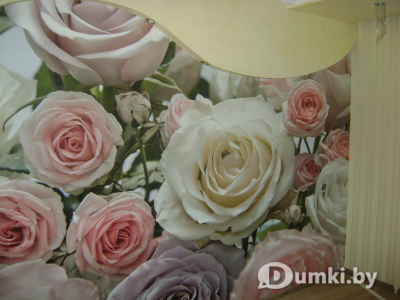 Фото компании