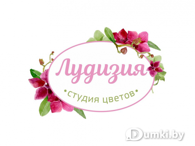 Фото компании