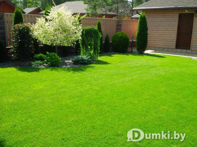 Фото компании