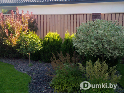 Фото компании