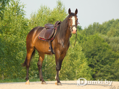 Фото компании
