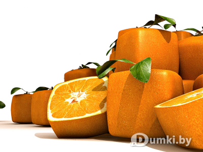 Фото компании