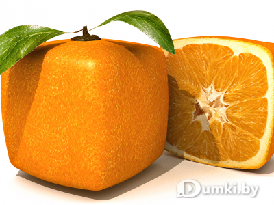 Фото компании