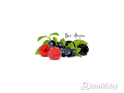 Фото компании