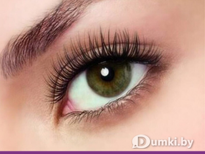 Фото компании