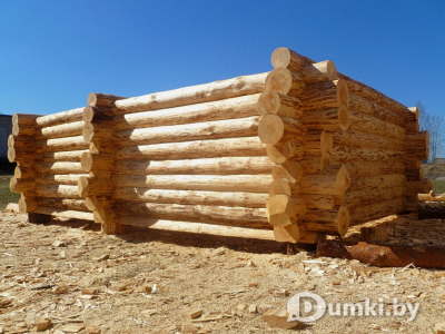 Фото компании