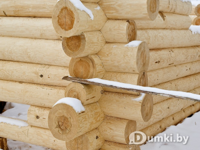 Фото компании