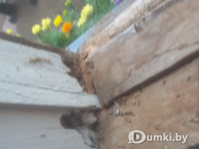 Фото компании