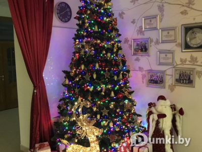 Фото компании