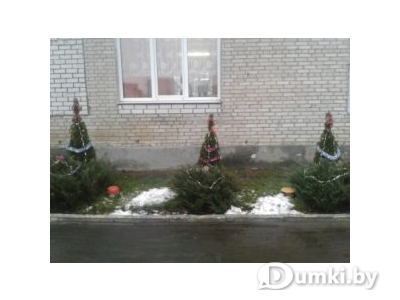 Фото компании