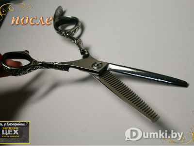 Фото компании