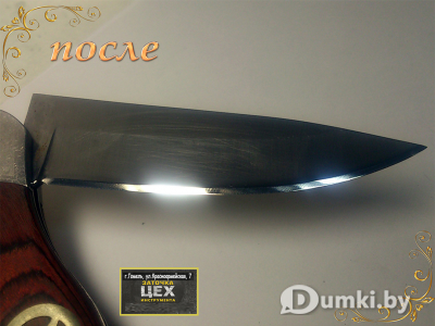 Фото компании