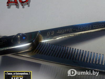 Фото компании