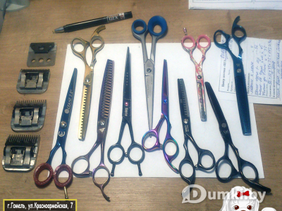 Фото компании