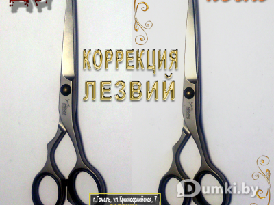 Фото компании