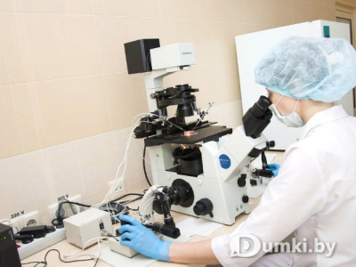 Фото компании