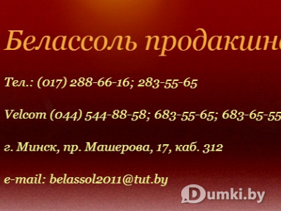 Фото компании