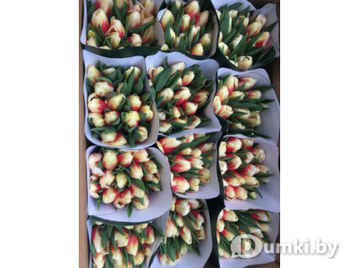 Фото компании