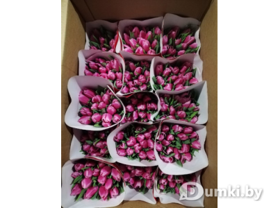 Фото компании