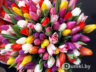 Фото компании