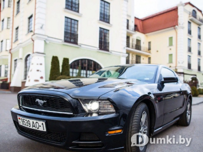 Фото компании