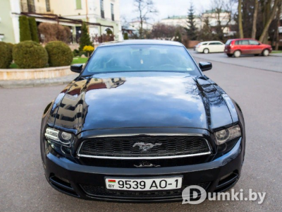 Фото компании