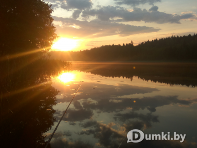 Фото компании