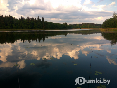 Фото компании