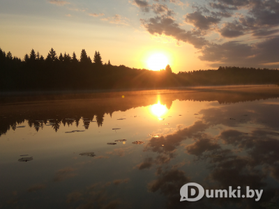 Фото компании