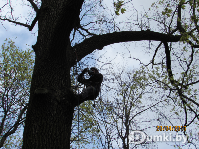 Фото компании