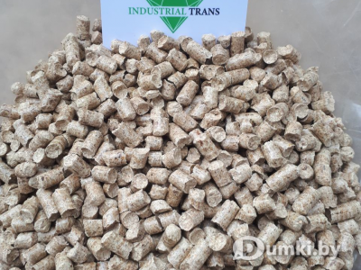 Фото компании