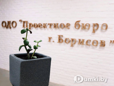 Фото компании