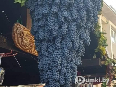 Фото компании