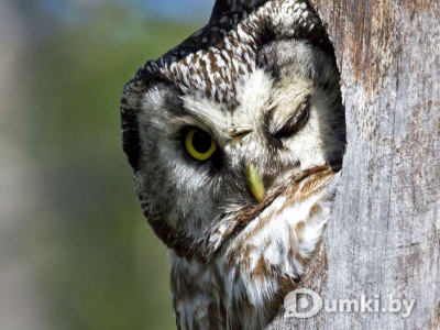 Фото компании