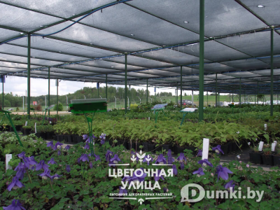 Фото компании