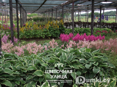 Фото компании